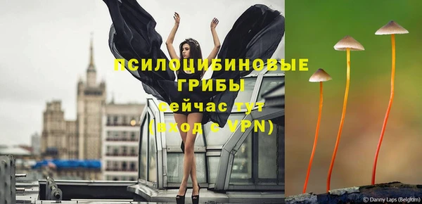 стаф Вяземский