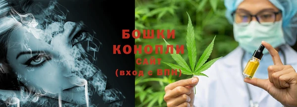 индика Вязники