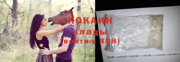 стаф Вяземский