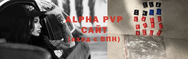 индика Вязники