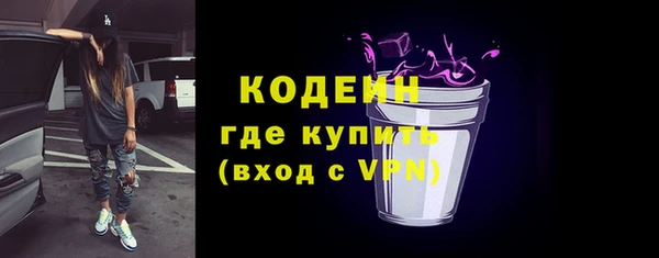 стаф Вяземский