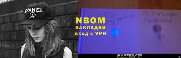 стаф Вяземский