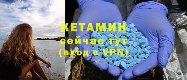стаф Вяземский