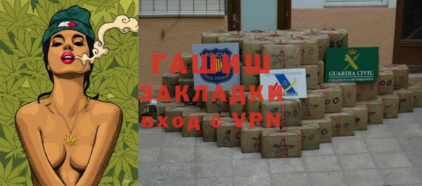 индика Вязники