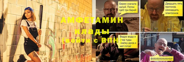 индика Вязники