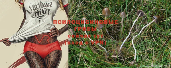 индика Вязники
