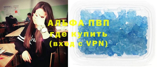 индика Вязники