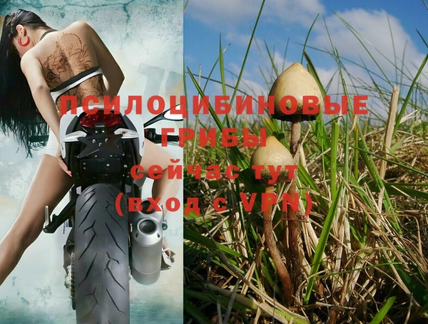 индика Вязники