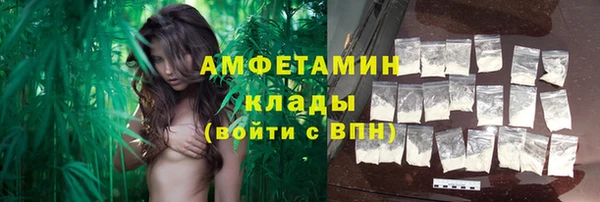 стаф Вяземский
