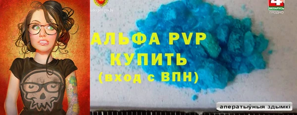 стаф Вяземский
