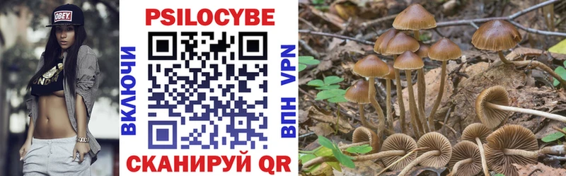 Псилоцибиновые грибы MAGIC MUSHROOMS  мега ссылка  Кадников  хочу наркоту 